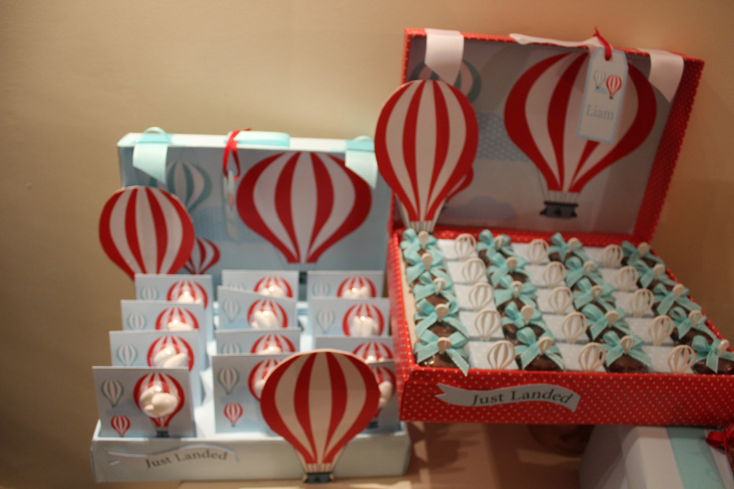 Just Landed: A Whimsical Hot Air Balloon Adventure for Baby Liam