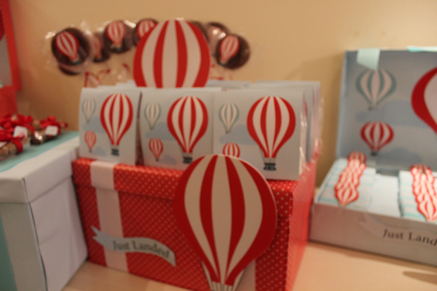 Just Landed: A Whimsical Hot Air Balloon Adventure for Baby Liam