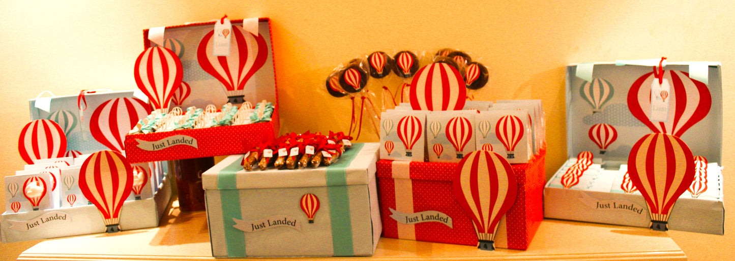 Just Landed: A Whimsical Hot Air Balloon Adventure for Baby Liam