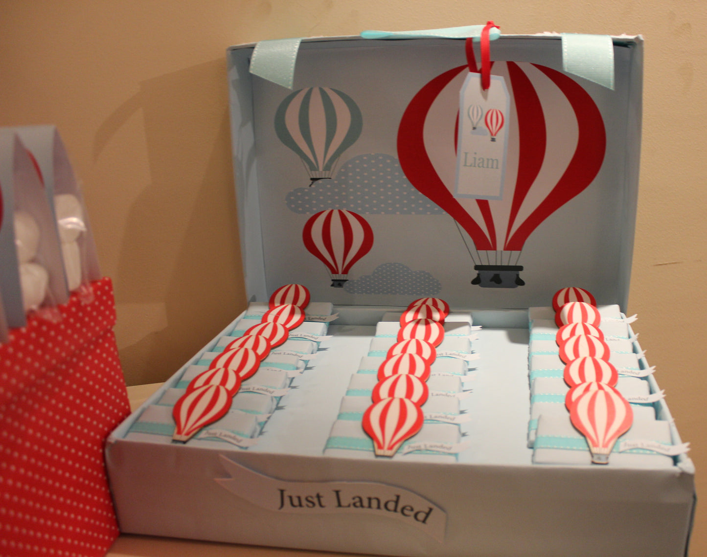 Just Landed: A Whimsical Hot Air Balloon Adventure for Baby Liam